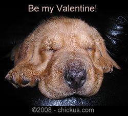 Be My Valentine!